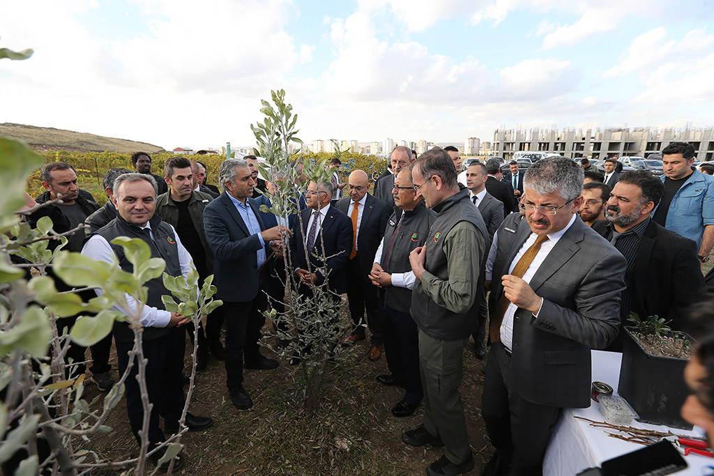 03.11.2023 - Başkan Büyükkılıç Bakan Özhaseki Erciyes Üniversitesi Doğal Alıç ve Ahlat Gen Bahçesi Ziyaret